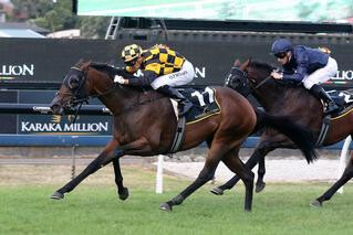 Probabeel (NZ) (Savabeel) makes history with double Karaka Million victories. 